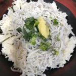 田子の浦漁協